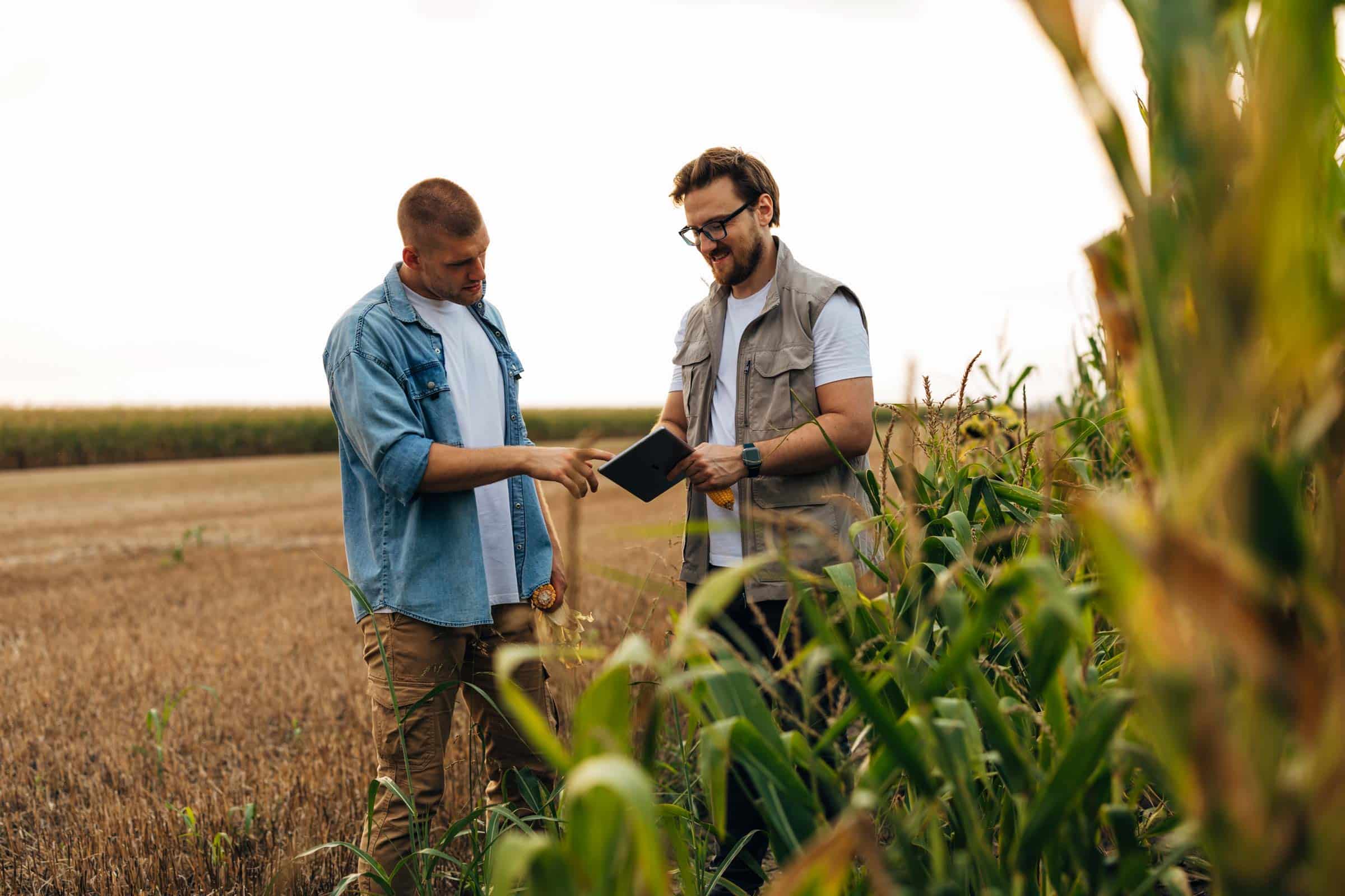 Farms looking at tablet in field