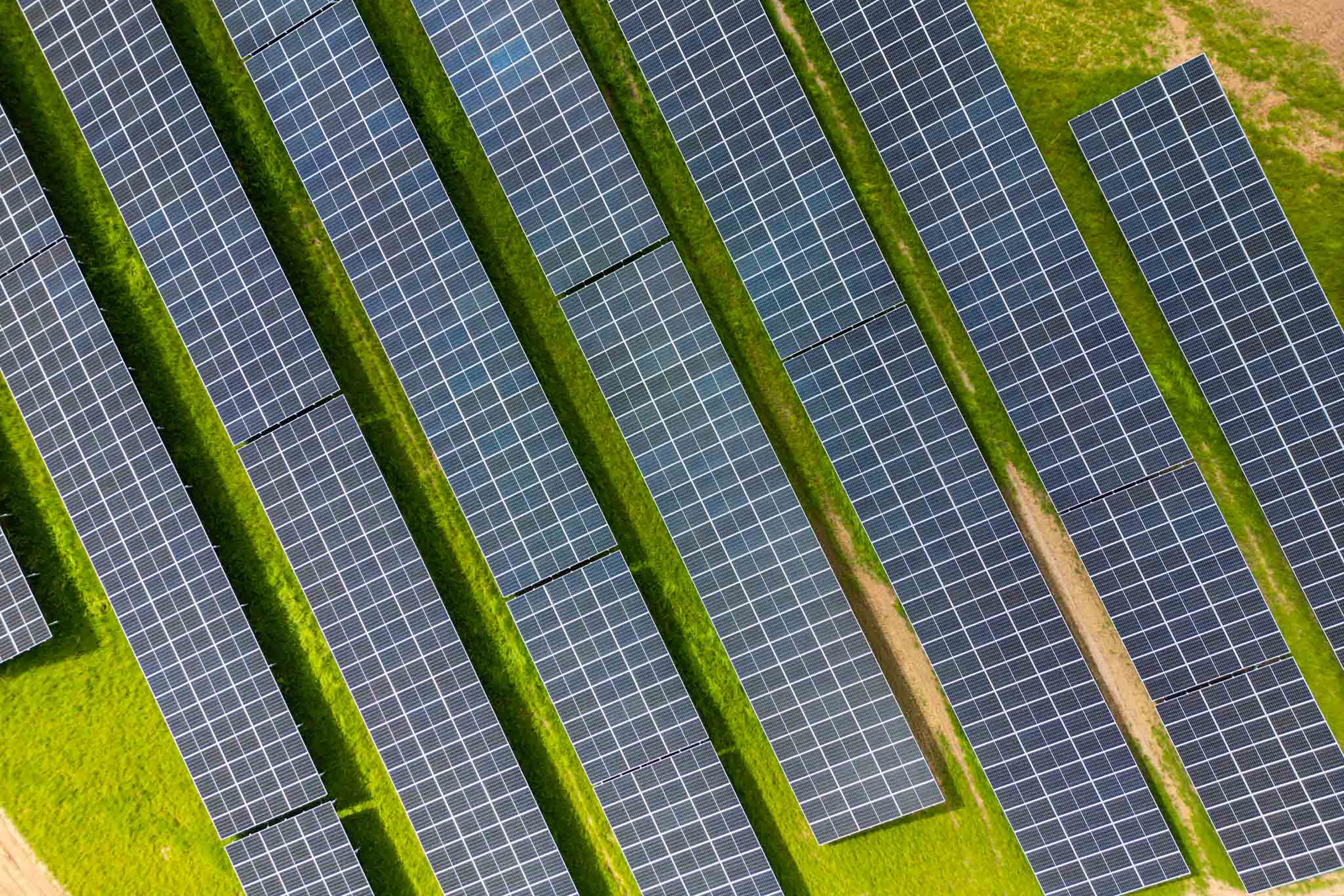 Aerial view of lines of solar panels