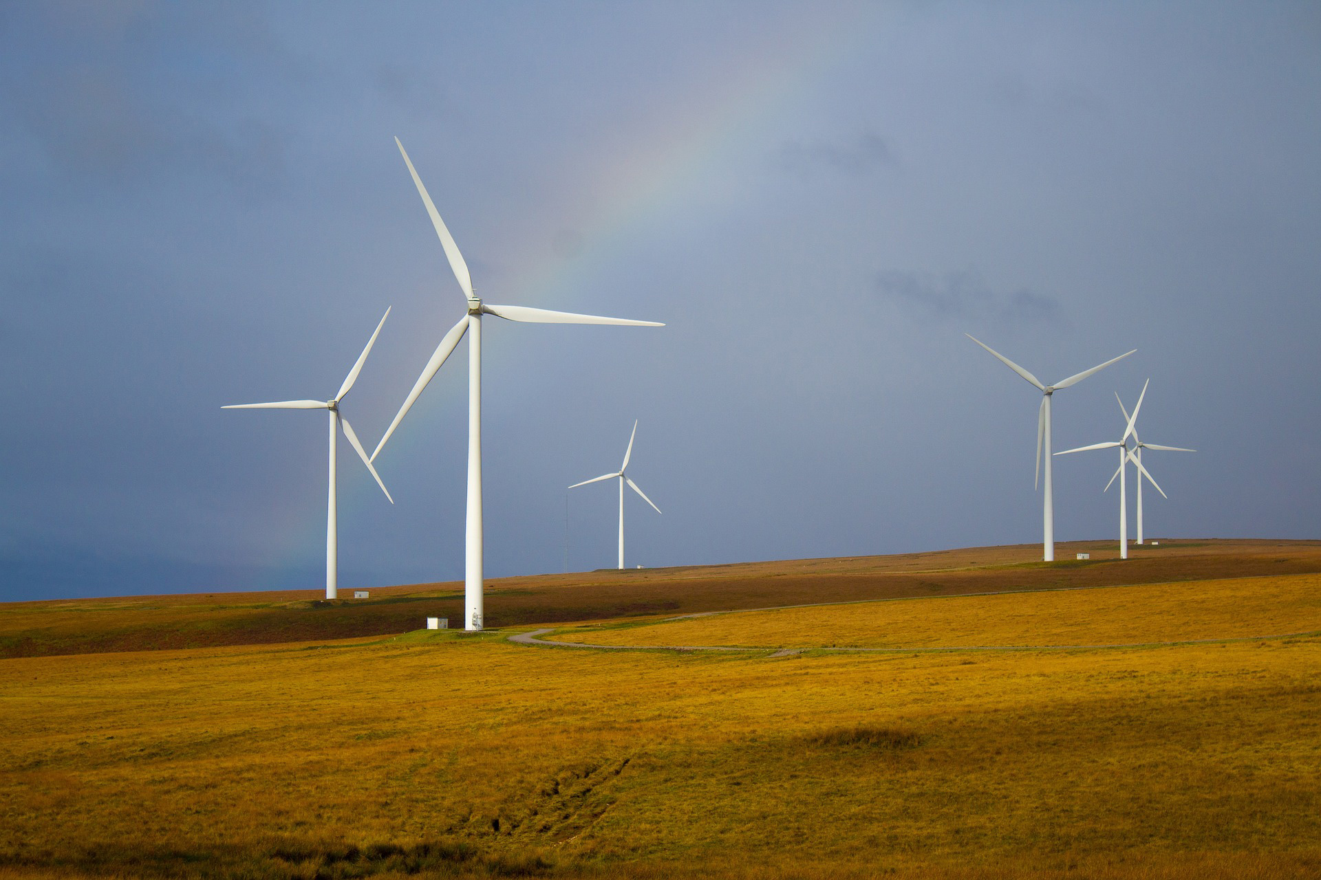 Wind turbines on heath with rainbow